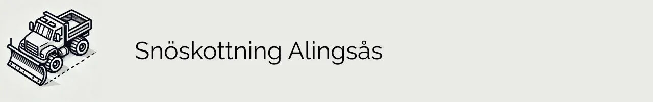 Snöskottning Alingsås